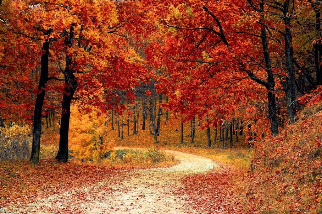 Beautiful Way