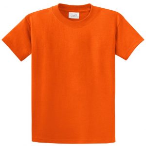 Plain Tshirt for men